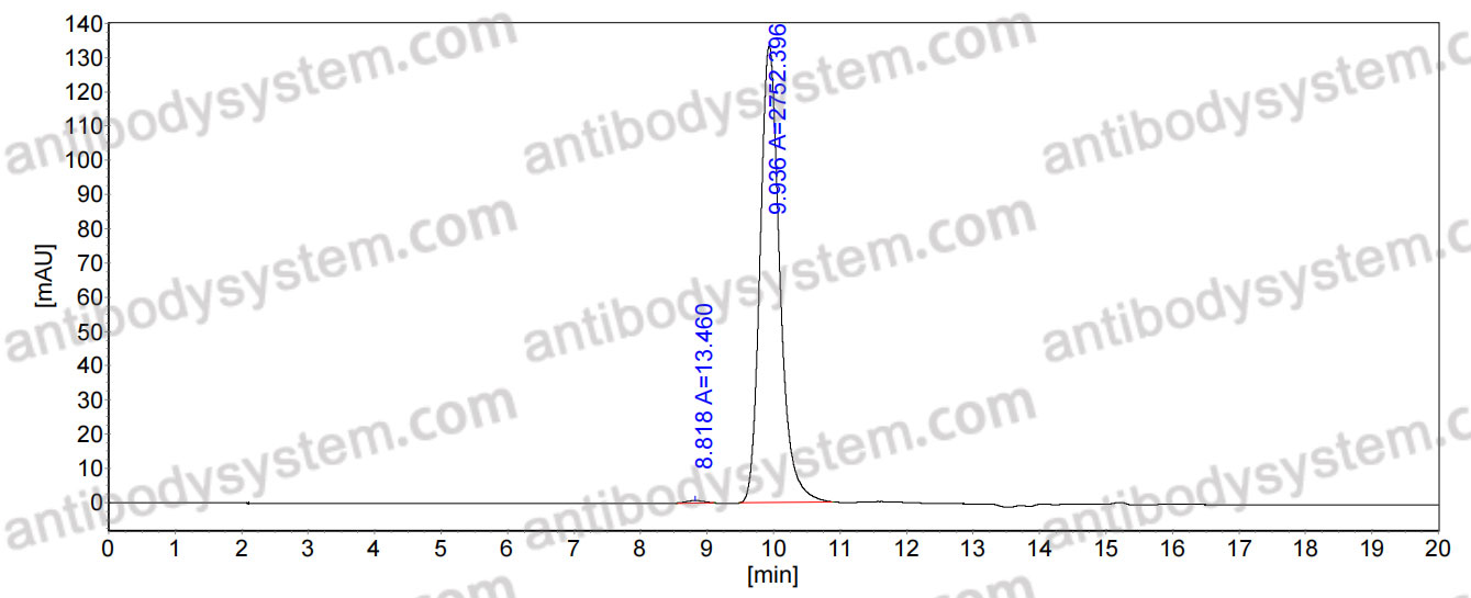 Anti-Vaccinia L1R/Protein L1 Antibody (7D11)